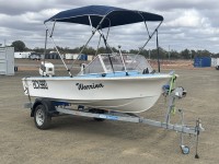202 · SAVAGE 4,2M AVALON BOAT